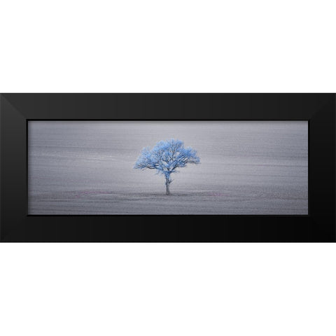 Single tree in foggy grassfield Black Modern Wood Framed Art Print by Frank, Assaf