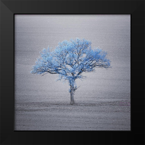 Single tree in foggy grassfield Black Modern Wood Framed Art Print by Frank, Assaf
