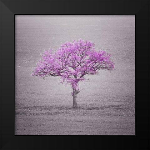 Single tree in foggy grassfield Black Modern Wood Framed Art Print by Frank, Assaf