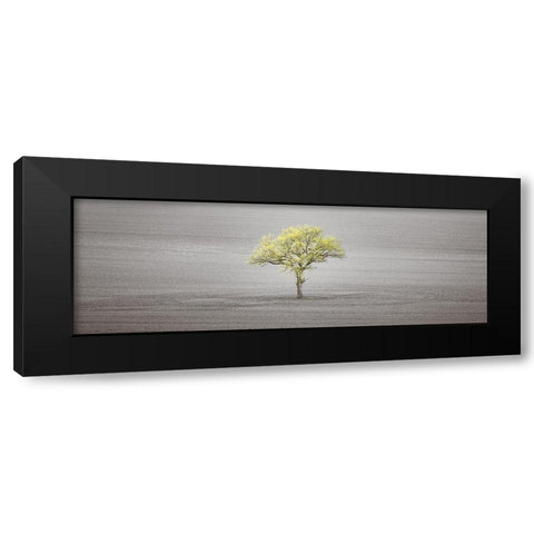 Single tree in foggy field Black Modern Wood Framed Art Print by Frank, Assaf
