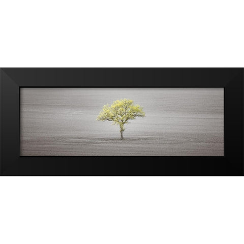 Single tree in foggy field Black Modern Wood Framed Art Print by Frank, Assaf