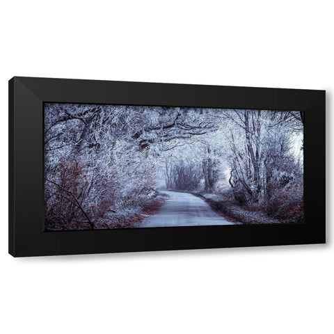 Frosted road through forest Black Modern Wood Framed Art Print with Double Matting by Frank, Assaf