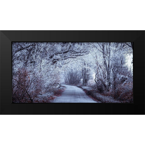 Frosted road through forest Black Modern Wood Framed Art Print by Frank, Assaf