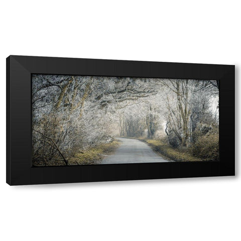 Frosted road through forest Black Modern Wood Framed Art Print with Double Matting by Frank, Assaf
