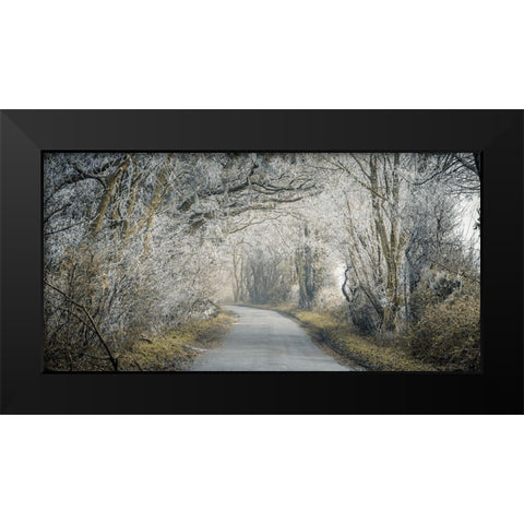 Frosted road through forest Black Modern Wood Framed Art Print by Frank, Assaf