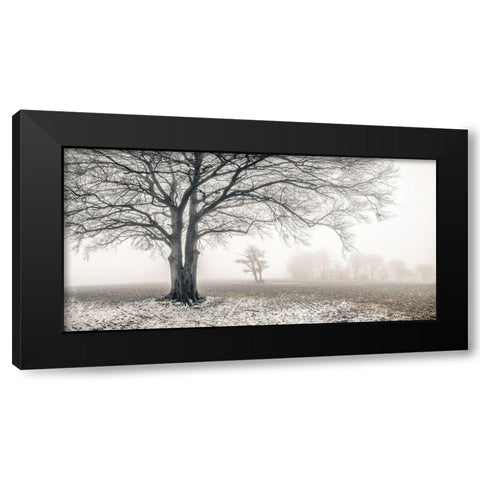 Misty forest Black Modern Wood Framed Art Print with Double Matting by Frank, Assaf