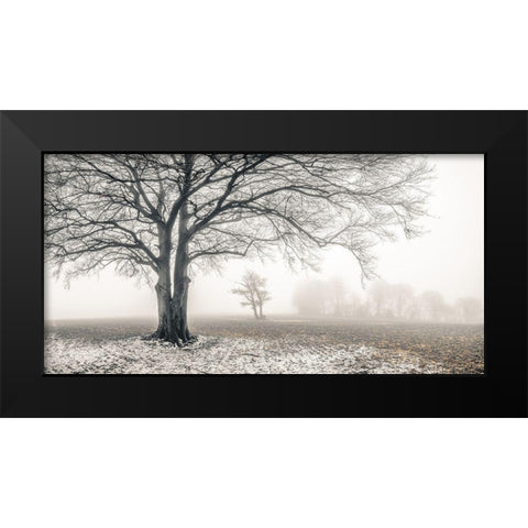 Misty forest Black Modern Wood Framed Art Print by Frank, Assaf
