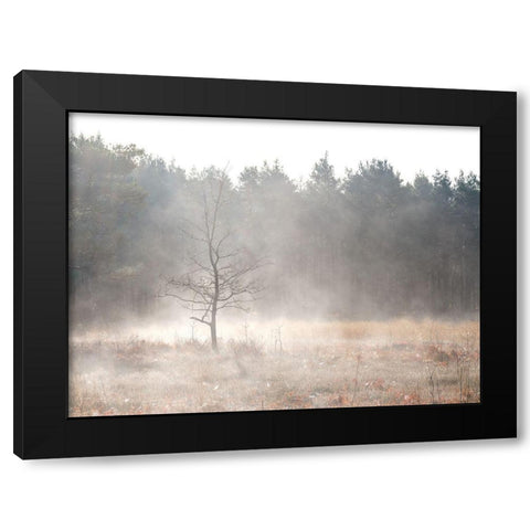 Misty forest Black Modern Wood Framed Art Print with Double Matting by Frank, Assaf