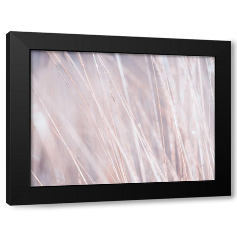 Dried grass Black Modern Wood Framed Art Print by Frank, Assaf