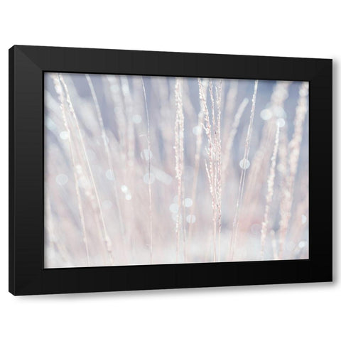 Dried grass Black Modern Wood Framed Art Print by Frank, Assaf