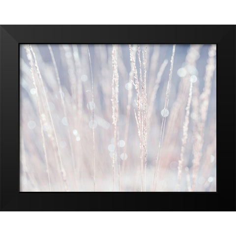 Dried grass Black Modern Wood Framed Art Print by Frank, Assaf