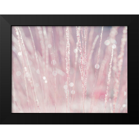 Dried grass Black Modern Wood Framed Art Print by Frank, Assaf
