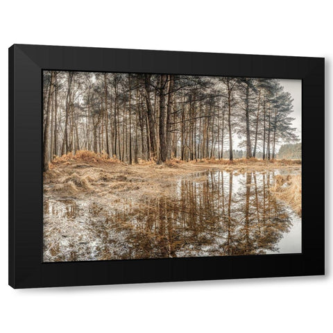 Forest reflections Black Modern Wood Framed Art Print with Double Matting by Frank, Assaf