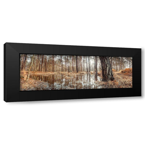 Canal through forest Black Modern Wood Framed Art Print by Frank, Assaf