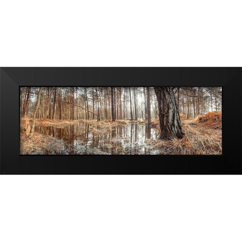 Canal through forest Black Modern Wood Framed Art Print by Frank, Assaf