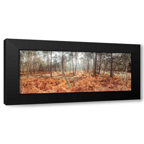 Autumn forest Black Modern Wood Framed Art Print with Double Matting by Frank, Assaf