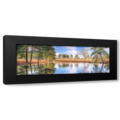 Trees by a lake Black Modern Wood Framed Art Print with Double Matting by Frank, Assaf