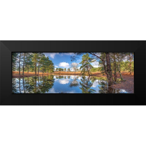 Canal through forest Black Modern Wood Framed Art Print by Frank, Assaf