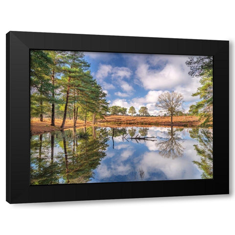 Trees by a lake Black Modern Wood Framed Art Print by Frank, Assaf