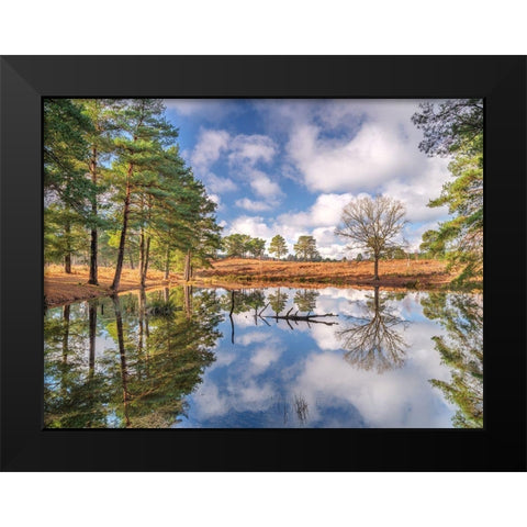 Trees by a lake Black Modern Wood Framed Art Print by Frank, Assaf