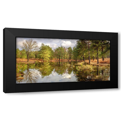 Canal through forest Black Modern Wood Framed Art Print by Frank, Assaf