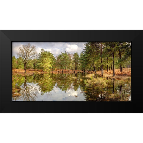 Canal through forest Black Modern Wood Framed Art Print by Frank, Assaf