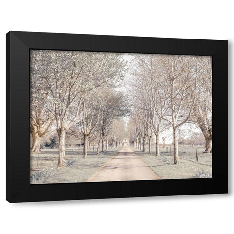 Pathway through forest Black Modern Wood Framed Art Print with Double Matting by Frank, Assaf