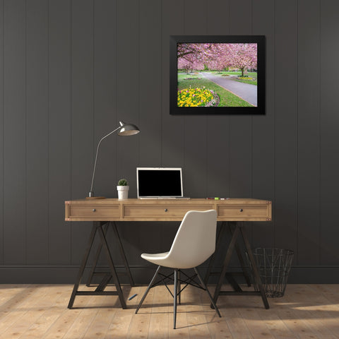 Blossom in the park Black Modern Wood Framed Art Print by Frank, Assaf