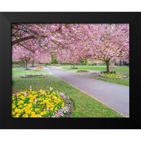 Blossom in the park Black Modern Wood Framed Art Print by Frank, Assaf