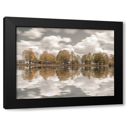 Trees along the lake Black Modern Wood Framed Art Print with Double Matting by Frank, Assaf
