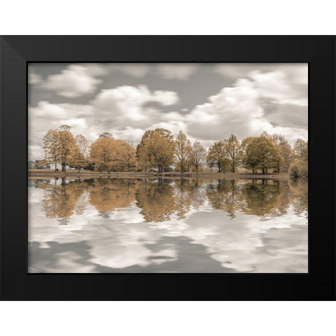 Trees along the lake Black Modern Wood Framed Art Print by Frank, Assaf