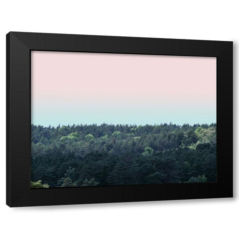 Tree tops at dusk Black Modern Wood Framed Art Print with Double Matting by Frank, Assaf