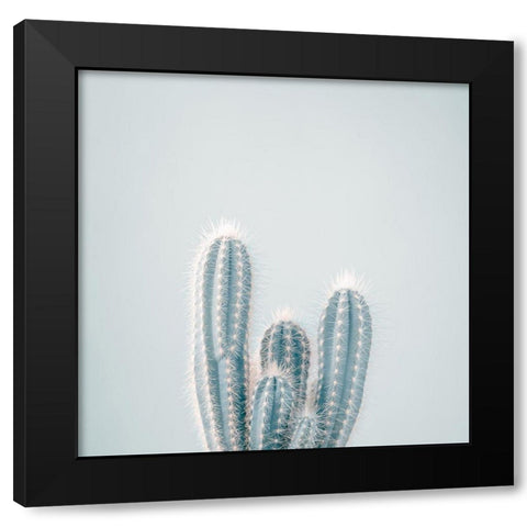 Micranthocereus Estevesii Cactus Black Modern Wood Framed Art Print with Double Matting by Frank, Assaf