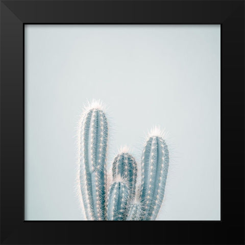 Micranthocereus Estevesii Cactus Black Modern Wood Framed Art Print by Frank, Assaf