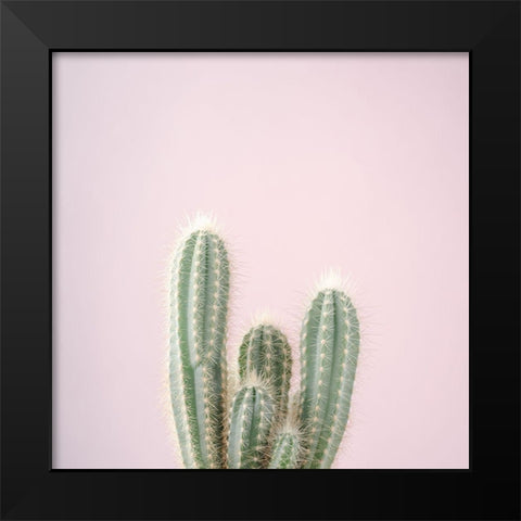 Micranthocereus Estevesii Cactus Black Modern Wood Framed Art Print by Frank, Assaf
