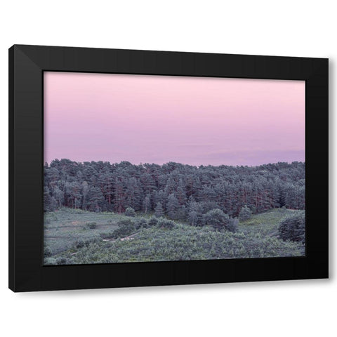 Dense Forest Black Modern Wood Framed Art Print with Double Matting by Frank, Assaf