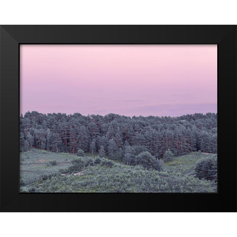 Dense Forest Black Modern Wood Framed Art Print by Frank, Assaf