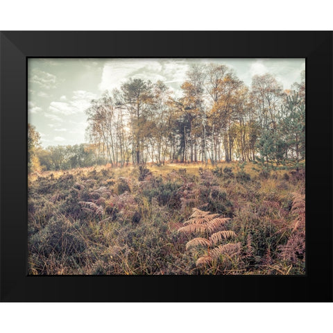 Forest with tall trees and foliage Black Modern Wood Framed Art Print by Frank, Assaf