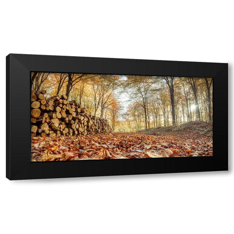 Stack of tree logs in autumn forest Black Modern Wood Framed Art Print by Frank, Assaf