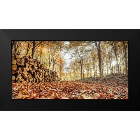Stack of tree logs in autumn forest Black Modern Wood Framed Art Print by Frank, Assaf
