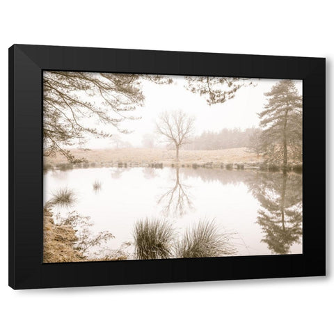 Misty trees around a lake Black Modern Wood Framed Art Print with Double Matting by Frank, Assaf