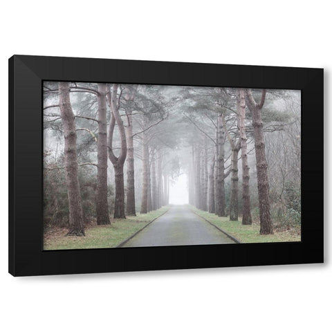 Road through mystic forest Black Modern Wood Framed Art Print by Frank, Assaf