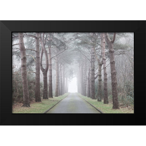 Road through mystic forest Black Modern Wood Framed Art Print by Frank, Assaf