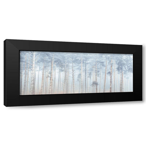 Misty Forest Black Modern Wood Framed Art Print with Double Matting by Frank, Assaf