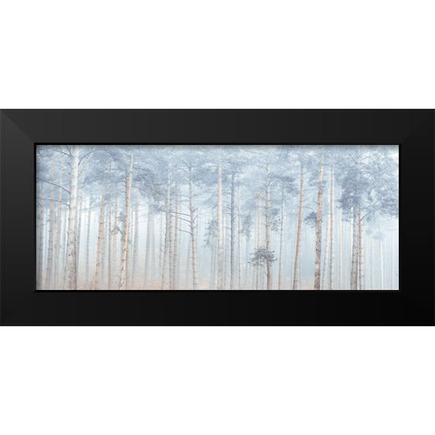 Misty Forest Black Modern Wood Framed Art Print by Frank, Assaf