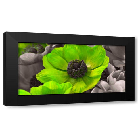 AF20111223 Anemone 008C15-2 Green Black Modern Wood Framed Art Print by Frank, Assaf