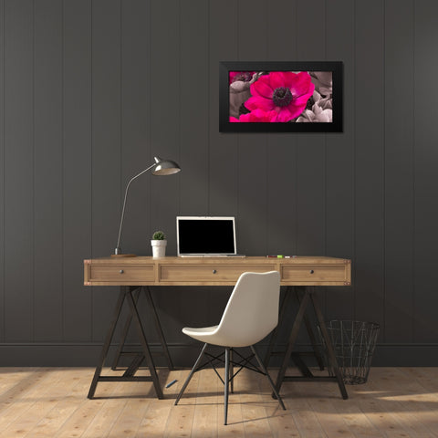 AF20111223 Anemone 008C15-2 Raspberry Black Modern Wood Framed Art Print by Frank, Assaf