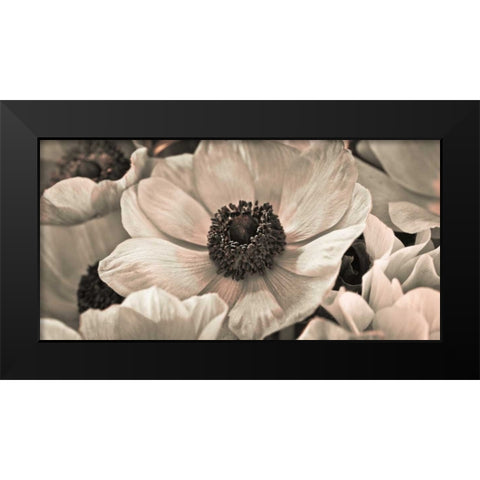 AF20111223 Anemone 008C18 Black Modern Wood Framed Art Print by Frank, Assaf