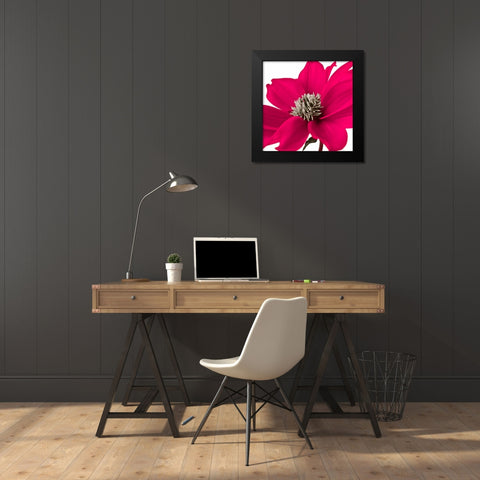 AF20110714 Dahlia 107C08 Black Modern Wood Framed Art Print by Frank, Assaf