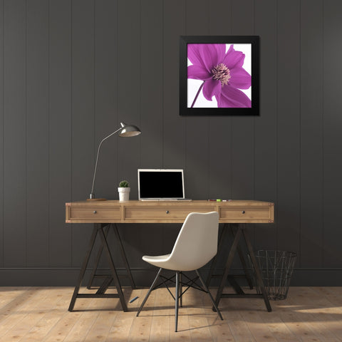 AF20110714 Dahlia 106C16 Black Modern Wood Framed Art Print by Frank, Assaf